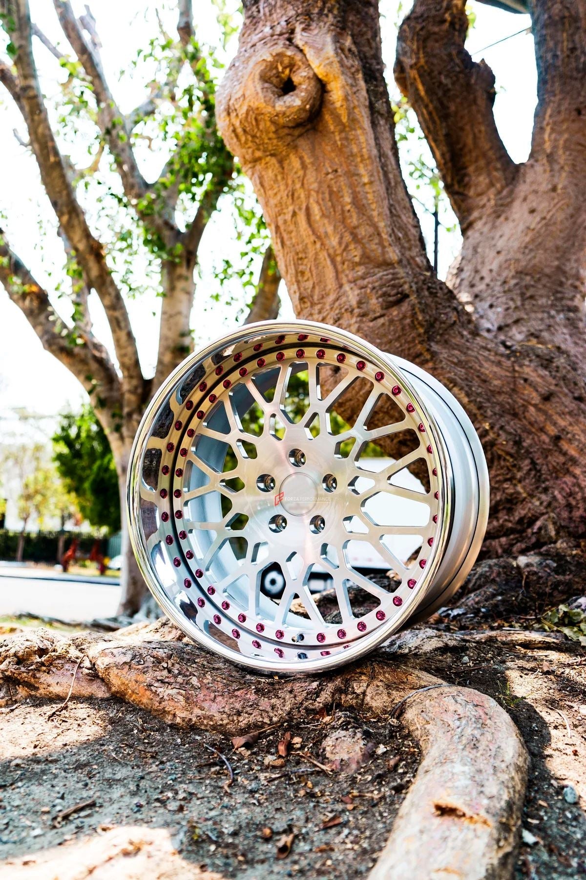 3-Piece FORGED WHEELS FOR ANY CAR BF-19