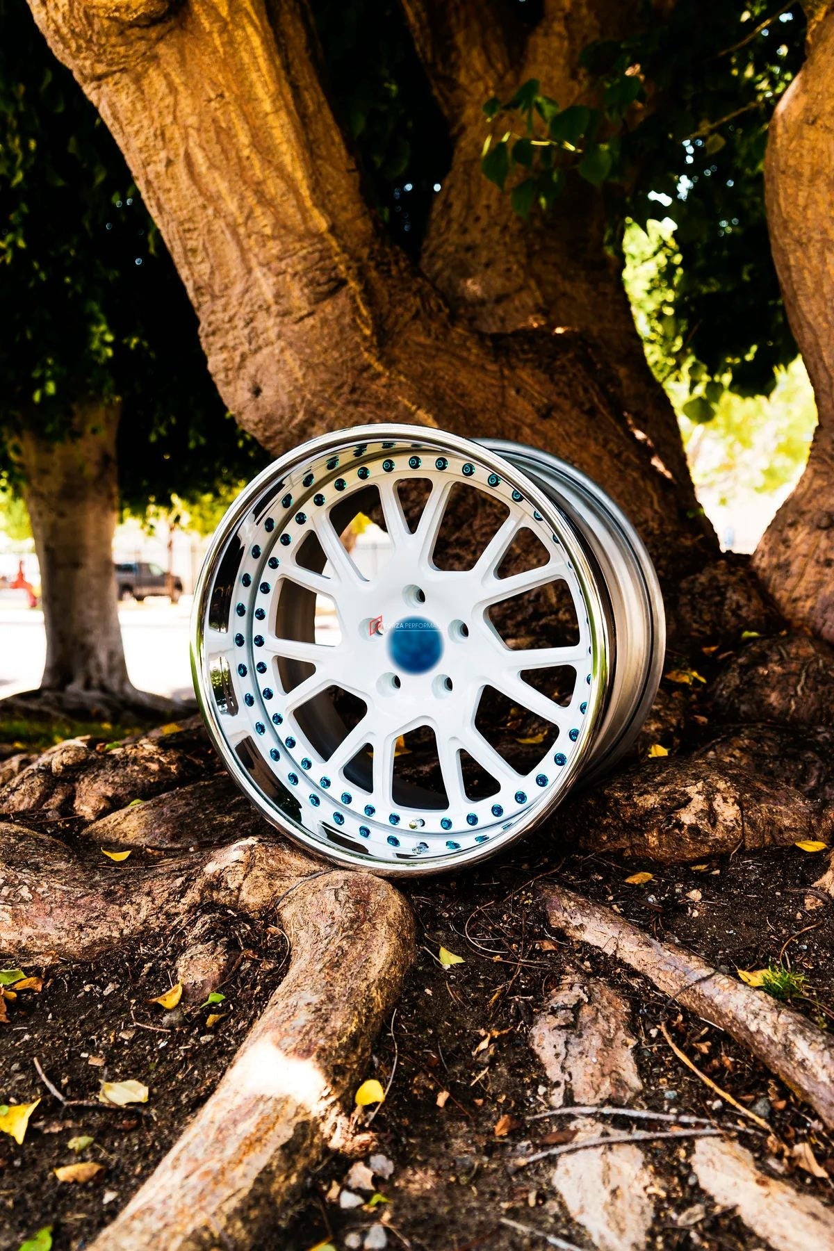 3-Piece FORGED WHEELS FOR ANY CAR BF-41